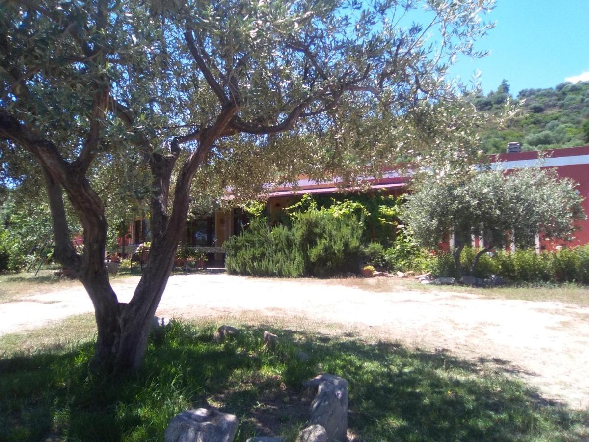 B&B Casa Per Ferie Villaggiocarovana Кастіадас Екстер'єр фото